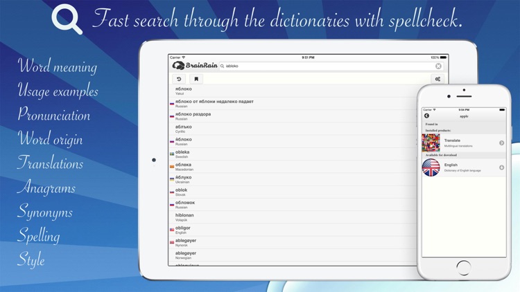 BrainRain multilingual dictionaries & thesaurus Offline