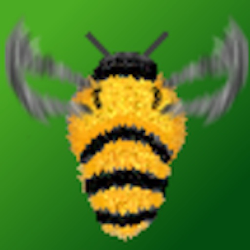 Remember Bee Icon