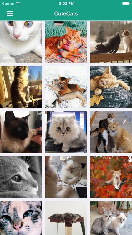 Funny Cat Pro - News, Videos & Cute Cat Pictures screenshot-4