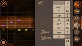 Game screenshot The Best Acoustic Guitar hack