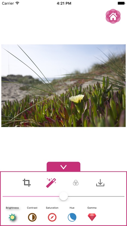 AmenD - Photo Editor