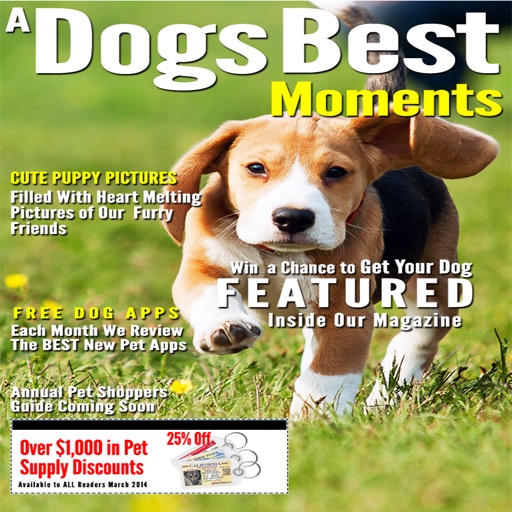 A Dogs Best Moments icon