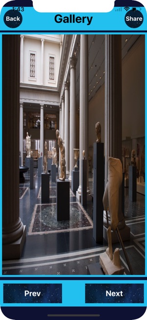 Metropolitan Museum NY USA(圖4)-速報App