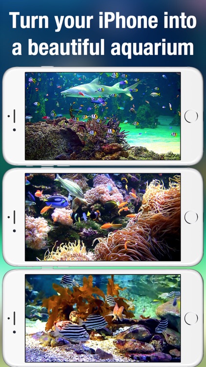 Aquarium Live +: Nature & coral reef ocean scenes