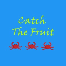 Activities of Catch The Fruit Pro