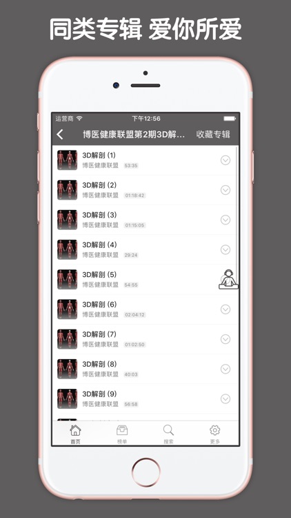 全套人体解剖知识大全