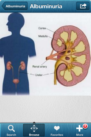 Diabetes Reference &Dictionary screenshot 2