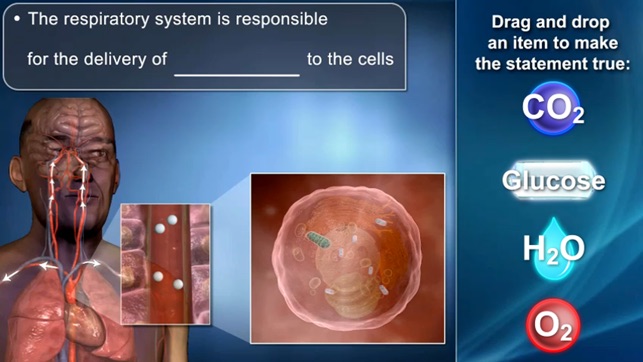 Medrills: Pathophysiology(圖2)-速報App