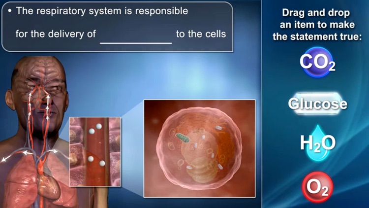 Medrills: Pathophysiology