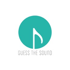 Activities of Guess the sound