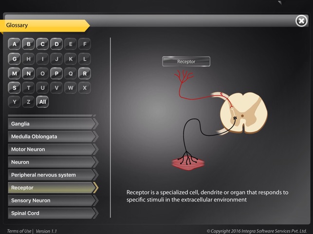 Human anatomy explorer Nervous System(圖5)-速報App
