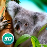 Koala Simulator Wildlife Game