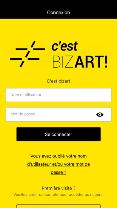 C'est BIZART! screenshot 2
