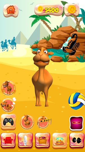 Talking Camel Pet(圖4)-速報App