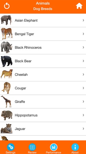 Animals : Wild Mammals Quiz(圖2)-速報App