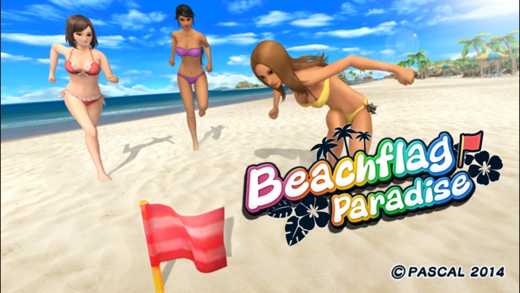 Beach Flag Paradise screenshot-0