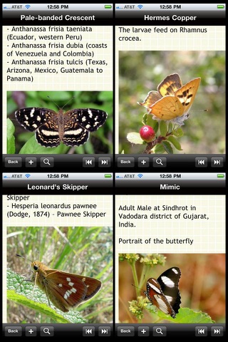 US Butterfly Bible screenshot 2