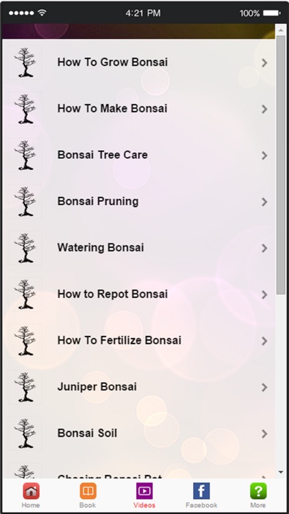 Bonsai Tree - A Guide to Growing Bonsai and Making Bonsai