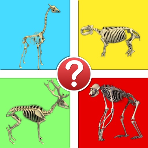 Animals by Skeleton Trivia - Guess the Creature Icon