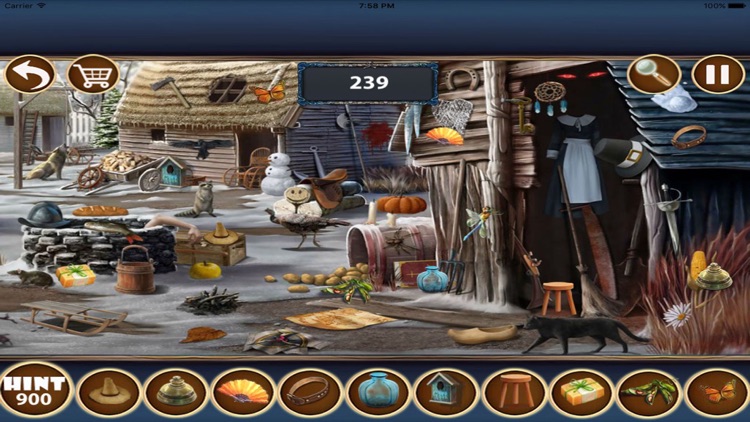 Treasure Mystery Island Hidden Object Games screenshot-4