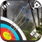 Archery Master 3D Cup will let you how good you are in shooting through archery and bow