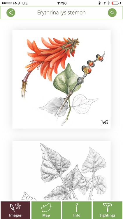TheTreeApp South Africa
