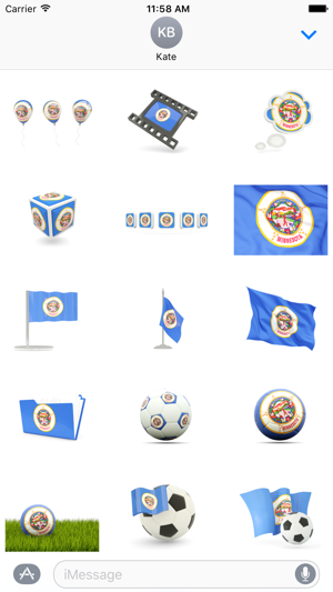 Minnesota Flag Stickers(圖1)-速報App