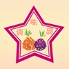 中国调味品app