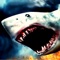 Top Wild Monster Shark Angry Sharks Reef Life Fish