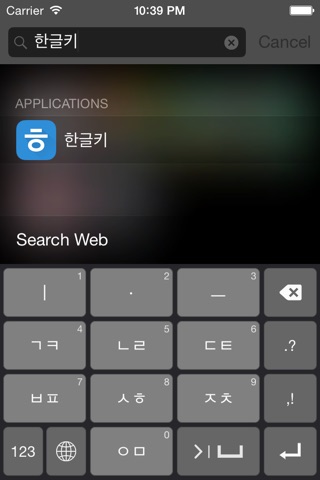 한글키 screenshot 2