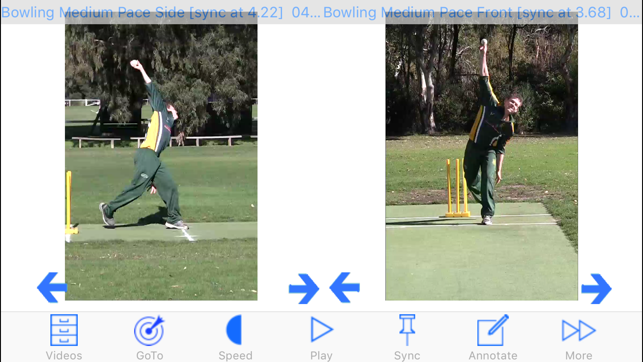apple watch 4 cricket