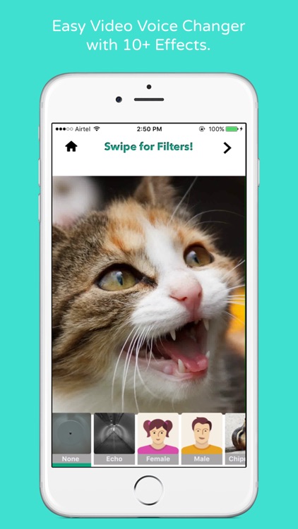Video Voice Editor - Special Sound Effects for Videos and Filters for Sharing to Social Media