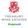 Grapeweb - TWE