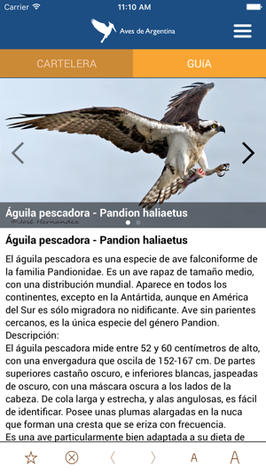 Aves de Argentina(圖4)-速報App