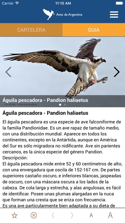 Aves de Argentina screenshot-3