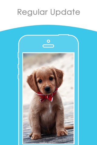 Cute Puppy Wallpapers | HD Backgrounds screenshot 3