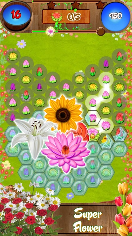 Flower Forest Blast screenshot-3