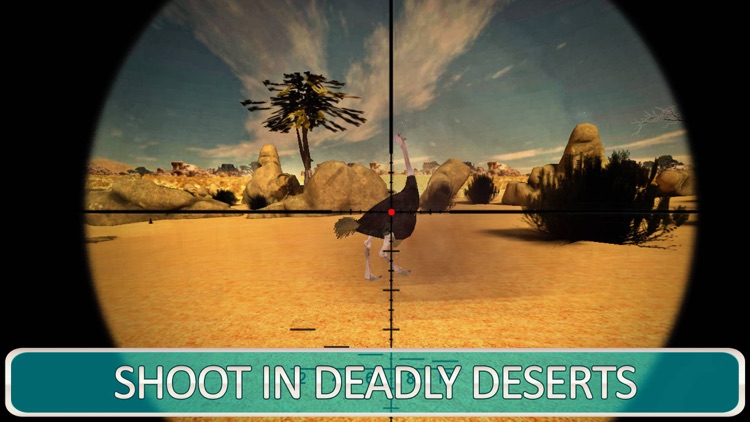 Ultimate Ostrich Simulator Shooting - Big Sean Shotgun Desert Hunter Safari