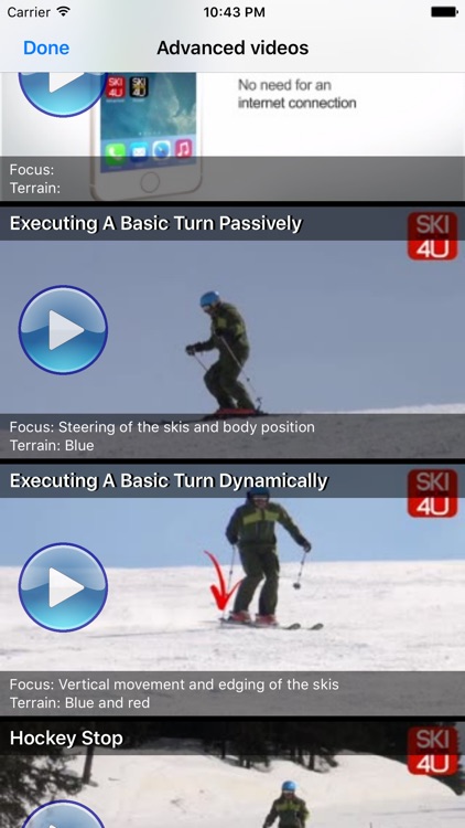 Ski Lessons 4U - Advanced