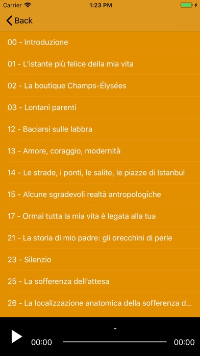 Amore Musei Ispirazione screenshot 2