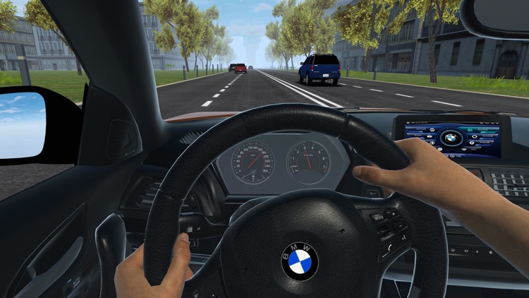 Driving Car 2017