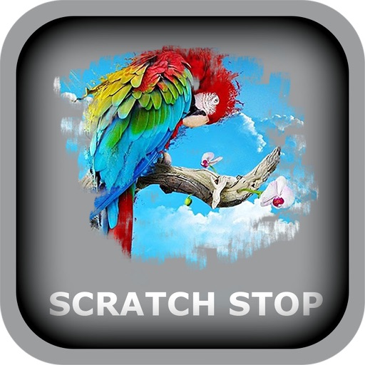 Scratch S Top - Free Top Puzzle for Scratch Word Game iOS App