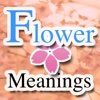 Flower Meaning Dictionary