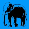 Elephant Jokes!