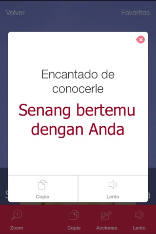 Indonesian Video Dictionary - Translate, Learn and Speak with Video Phrasebook screenshot 3