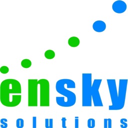 Ensky Report
