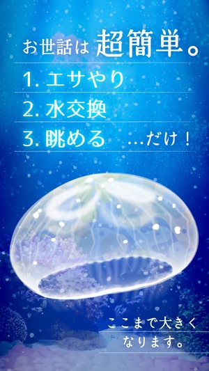 Jellyfish Aquarium Free(圖2)-速報App