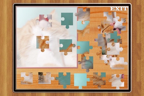 Cute Cats Jigsaw Puzzle Set screenshot 4