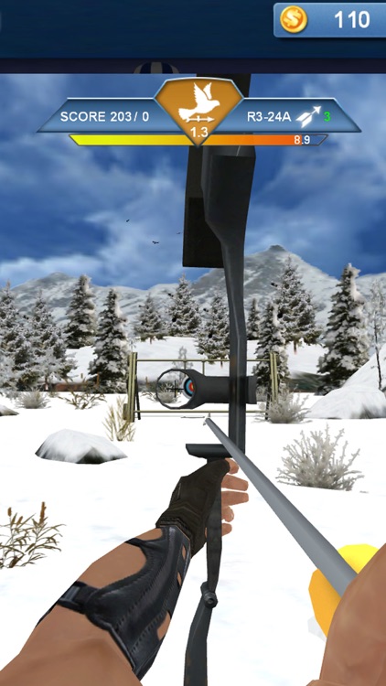 Archery Master 3D Advance