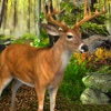 Jungle Animal Hunting Adventure : Animal Hunting Simulator 3D